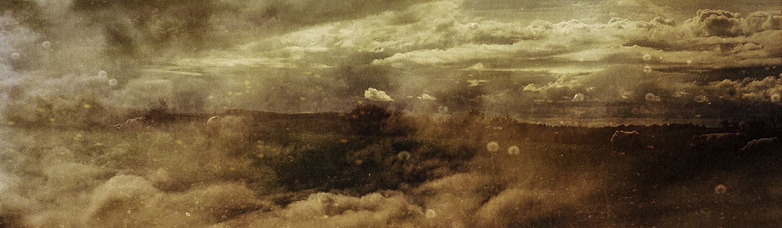 You are currently viewing © Rafaële IDE